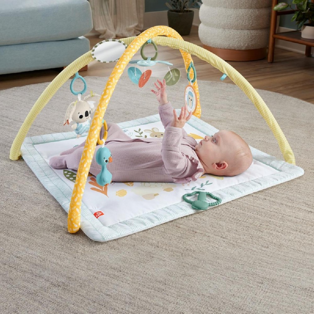 Fisher-Price Sensimals Simply Senses Newborn Gym (HRB15) (FISHRB15) Fisher-Price Sensimals Simply Senses Newborn Gym (HRB15) (FISHRB15)