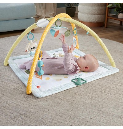 Fisher-Price Sensimals Simply Senses Newborn Gym (HRB15) (FISHRB15)