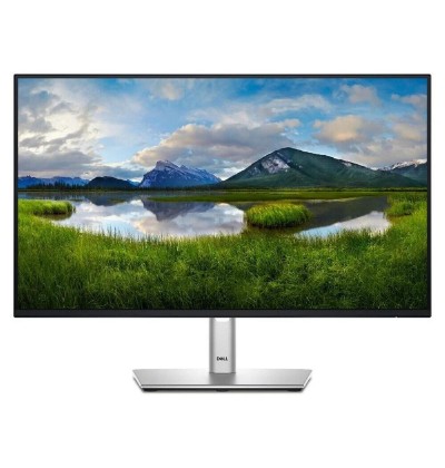 DELL P2425H FHD 100Hz IPS Monitor 24 DELL P2425H FHD 100Hz IPS Monitor 24