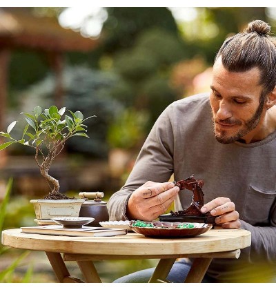 Lego Creator Expert: Bonsai Tree για 18+ ετών (10281) (LGO10281) Lego Creator Expert: Bonsai Tree για 18+ ετών (10281) (LGO10281)