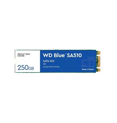 Western Digital Blue SA510 SATA SSD 250GB M.2 2280 (WDS250G3B0B) Western Digital Blue SA510 SATA SSD 250GB M.2 2280 (WDS250G3B0B)