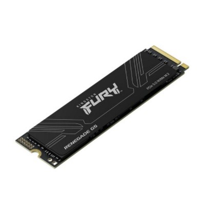Kingston Renegade G5 1TB NVMe5.0 M.2 2280 14200/11000MB/ (SFYR2S/1T0) (KINSFYR2S-1T0)