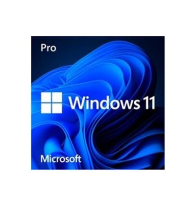 Microsoft Windows 11 Pro 64bit English DSP (FQC-10528) (MICFQC-10528)