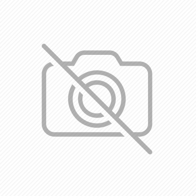 IP Security Cameras