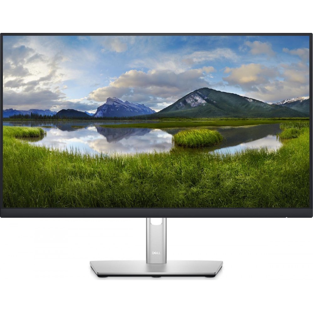 Dell P2422H